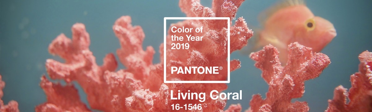 ​Living Coral è il colore del 2019